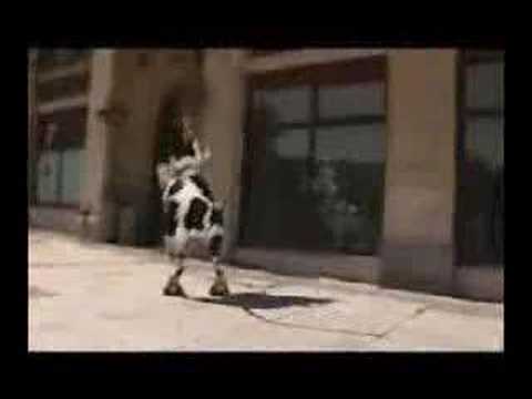 catarinacs’s Video 7108132144 fvRWSSZUO6A