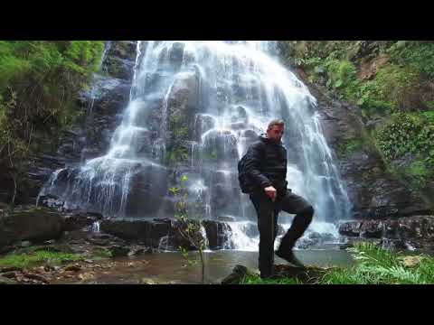 Alfredo Wagner no Brasil Primitivo