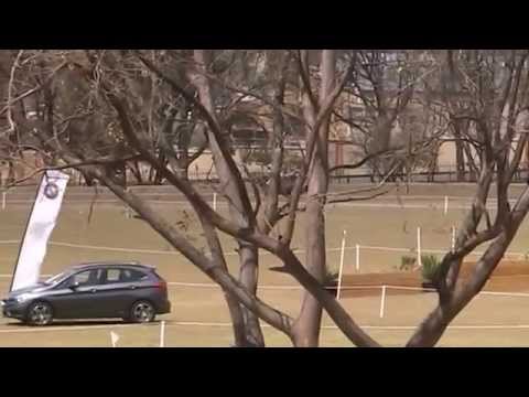 2015.11.01 Wild Kodiak (Codi)  Polo International Horse Trials CIC1* XC1