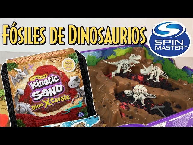 Vídeo relacionado con WANGCL Juguetes de esqueleto de dinosaurio fósil, 12 piezas de simulación de excavación arqueológica de dinosaurio, figuras de juego para niños