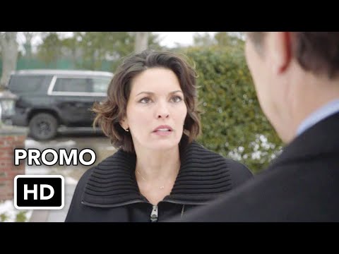 F.B.I. 3.09 (Preview)
