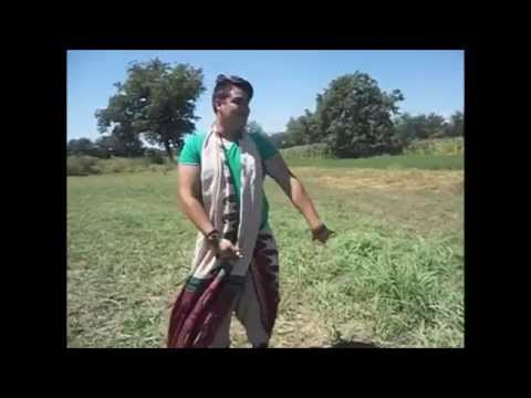 IONUT GABRIEL  - DANCE-  PROIECT INDIAN ARTISTIC BY NIKY HINDI