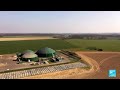 Renewable Energy France S Biogas Sector Is Booming FRANCE 24 English