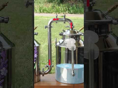 How to Make Essential Oils #science #sustainability #essentialoils #diy #essentialoilrecipe