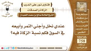 صورة 9336 - عندي نخل وأجني التمر وأبيعه في السوق فكم نسبة الزكاة فيه؟ - نور على الدرب