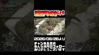 尻尾切るのってチャアクの役目！モンハンライズ サンブレイク#shorts 音楽：魔王魂 様