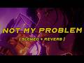 Laila Not My Problem Slowed Reverb Lyrics