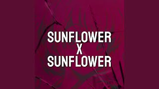 Sunflower x Sunflower