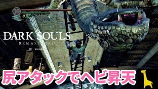 【ダークソウル リマスター】字幕実況#30 侯爵の書庫2 PS4版 DARK SOULS REMASTERED