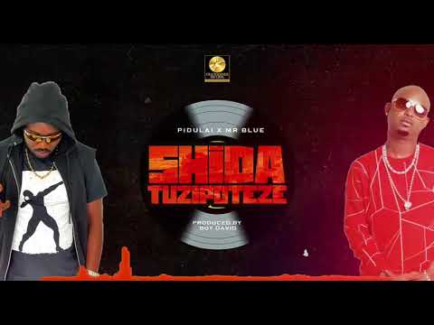 SHIDA TUZIPOTEZE - Pidulai ft. Mr Blue