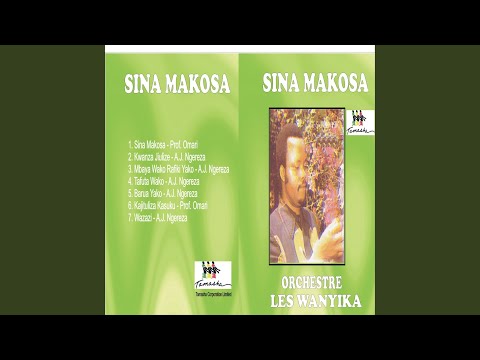 Sina Makosa