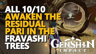 Awaken the Residual Pari in the Fravashi Trees Genshin Impact All 10/10