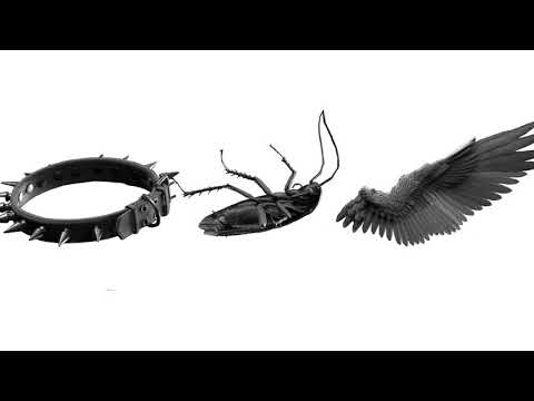 Kayzo, Sullivan king & Papa Roach - Domination (Dannblitz Mashup)