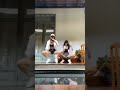 Shraddha Arya Hot Shraddha Arya Shraddha Arya Hot Dance Shraddha Arya Hot Scene Kundali Bagya Hot