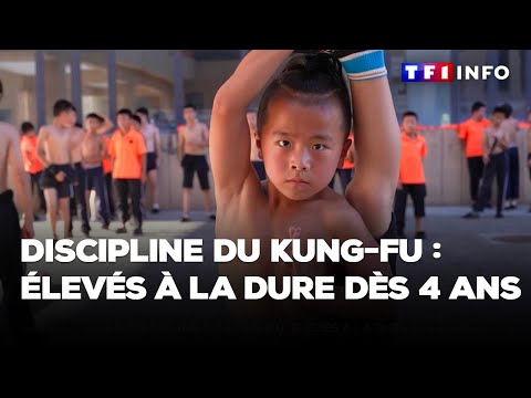 Discipline du kung-fu : élevés à la dure dès 4 ans