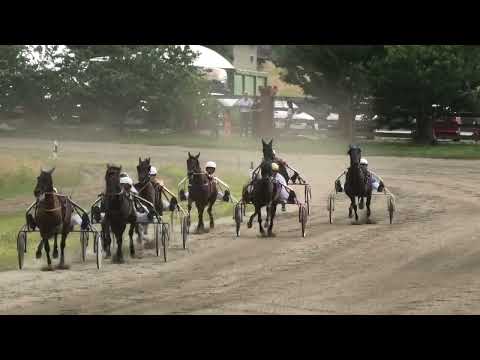 Trka "Mesna zajednica Lozovik" 12.7.2022. Solvalino - Zoran Petrović