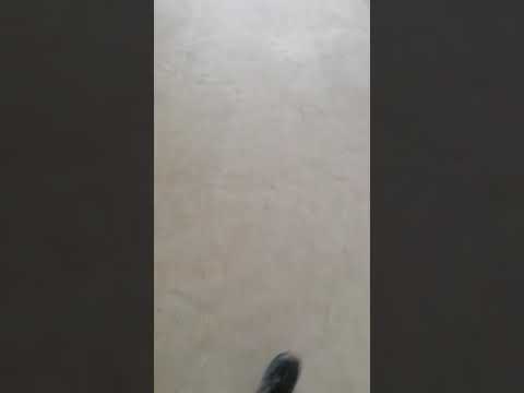 Single stage 2L/hr Short Path Distillation, Flow Rate: 20 m3, 1 HP