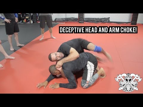 Head and Arm Choke from the Turtle Position - Professor Steven Williams