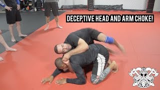 Head and Arm Choke from the Turtle Position - Professor Steven Williams
