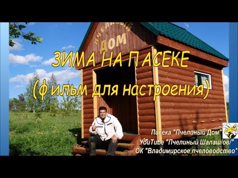 ЗИМА НА ПАСЕКЕ. для настроения  (WINTER IN THE APIARY. for mood)