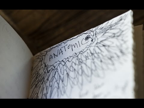 Opus Orange – Anatomic [Lyric Video]