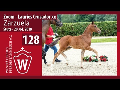 128 Zarzuela SF v. Zoom - Lauries Crusador xx
