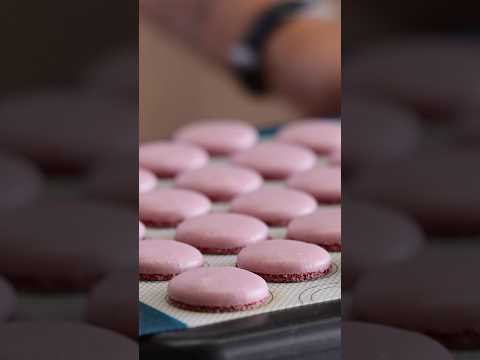 The Perfect Macaron Recipe!