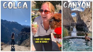 I MADE FRIENDS WITH AN ALPACA IN COLCA CANYON, PERU (Solo Female Backpacking Peru Vlog 4)