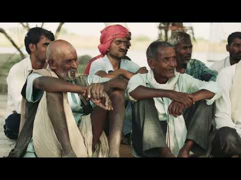 Agroforestry for Sustainable Livelihoods in Uttar Pradesh, India.