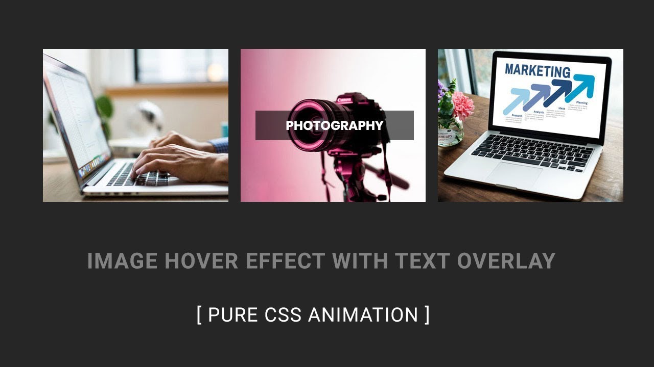 Image hover effect with text overlay | Css Image Hover Effects