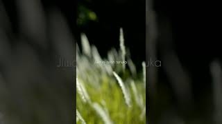 Download lagu Kotak ( sendiri ) lyric...Story WA # short#youtube short# mp3 Download lagu Kotak ( sendiri ) lyric...Story WA # short#youtube short# mp3