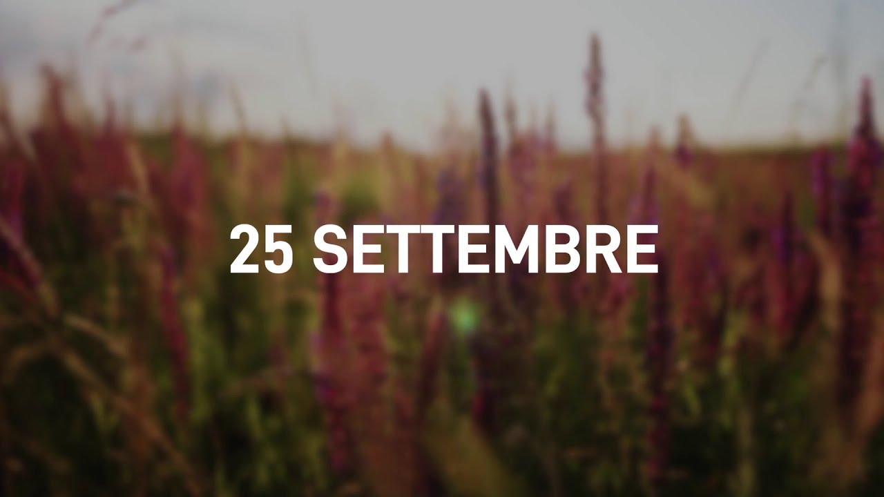 25 Settembre 2025 | Meditazione Parole di Vita