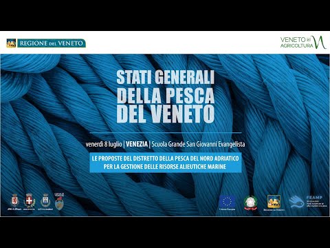 , title : 'Stati Generali della Pesca del Veneto - 08/07/22 Venezia'