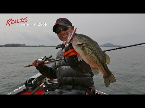 Realis: Biwa Chronicles Vol. 2: Realis Jerkbait 120SP