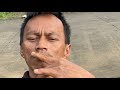 Live Joged Sadbor