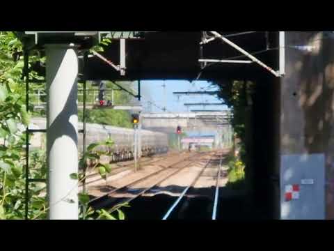 GBRF | Class 60 with freight passes, Heworth