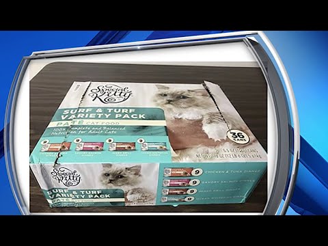 Canned cat food recalled over sickness concerns