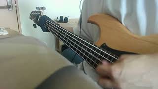 akuta bass lead backing