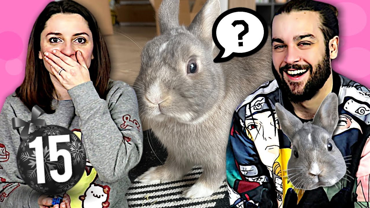 ON A OUBLIE NOTRE LAPIN SEOUL ! JOUR 15 CALENDRIER DE L'AVENT