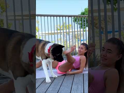 Trying to Workout... But My Dog Has Other Plans! 🤣 #dogs #dogfunny #funnydogs #fitness #homeworkout