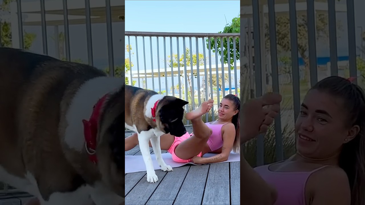 Trying to Workout... But My Dog Has Other Plans! 🤣 #dogs #dogfunny #funnydogs #fitness #homeworkout