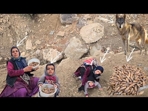 Esmat and Sohrab's Exciting Journey to Collect Acorns 🌰🏞️
