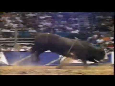 Tumbleweed bucks Randy Thornton - 94 PBR Finals