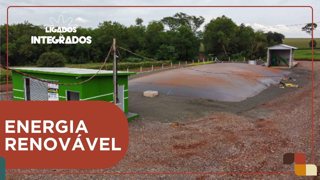 Vizinhos usam biodigestor para produção energia limpa na granja | Ligados & Integrados - 11/09/2024