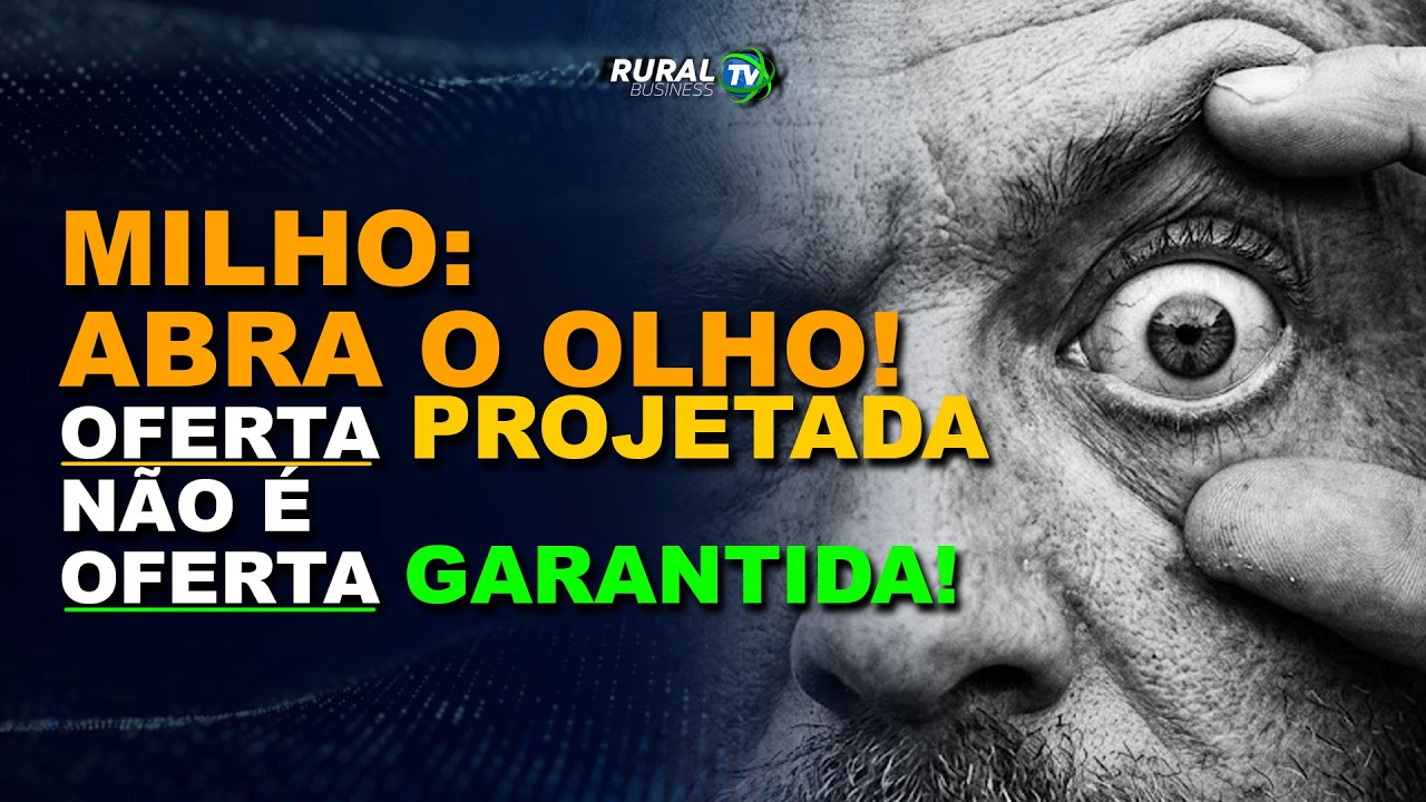 MILHO: ABRA O OLHO! OFERTA PROJETADA NÃO É OFERTA GARANTIDA!