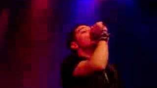 matt willis sound of america