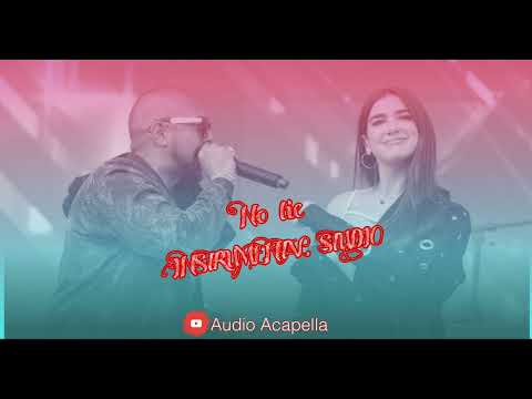 No lie - dua lipa ft sean paul (instrumental studio)