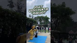 Download lagu VIRAL MARIADI WEDUS KENTIR TIKTOK #shorts mp3