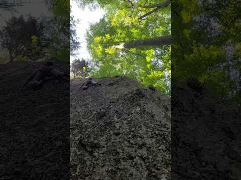 Limax Piranha Bușteni