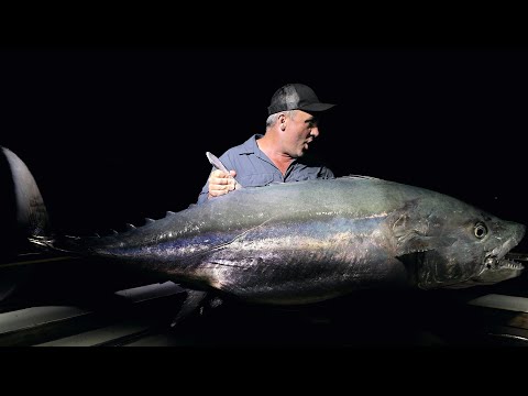 Un énorme THON à DENTS DE CHIEN en Tanzanie - Cyril Chauquet